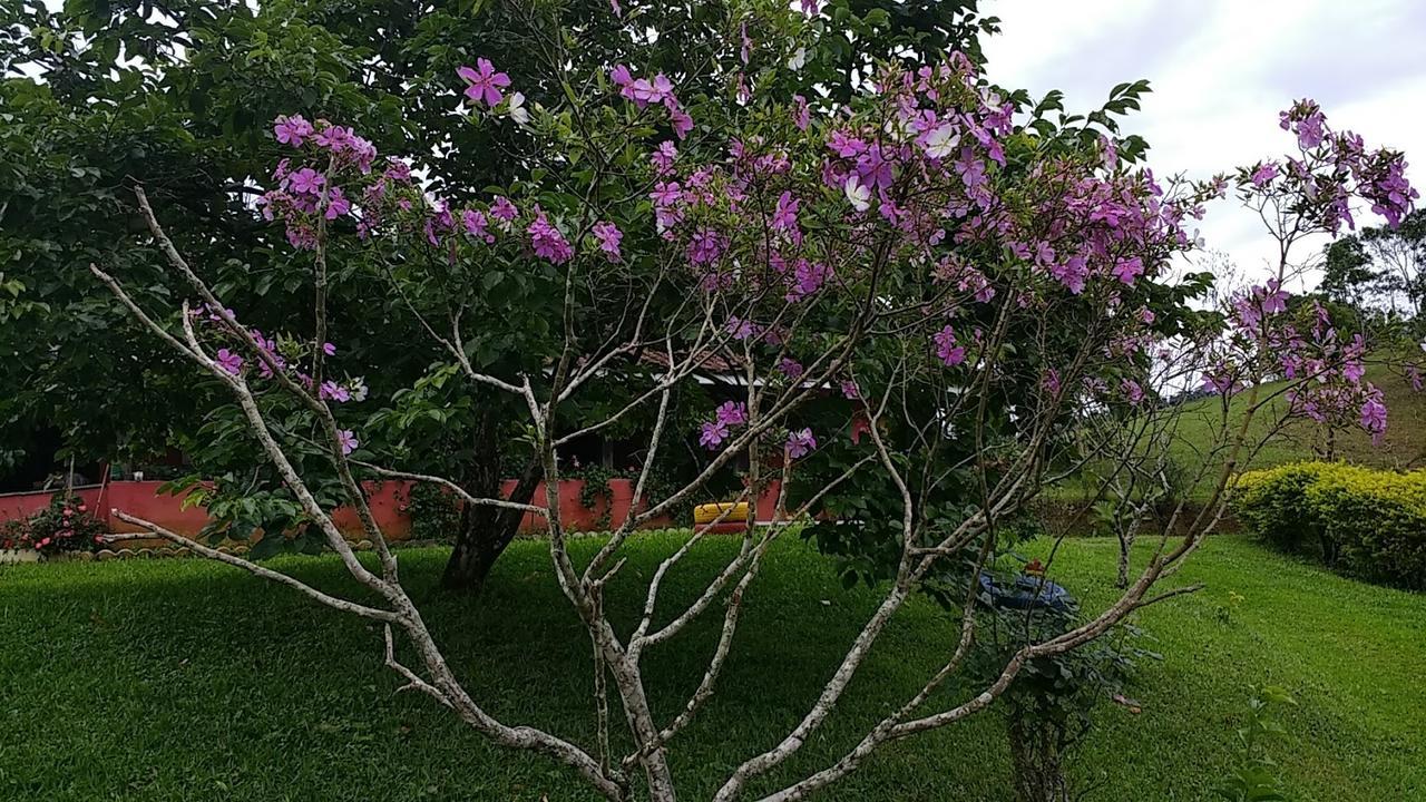 Sítio Recanto Do Araçá *