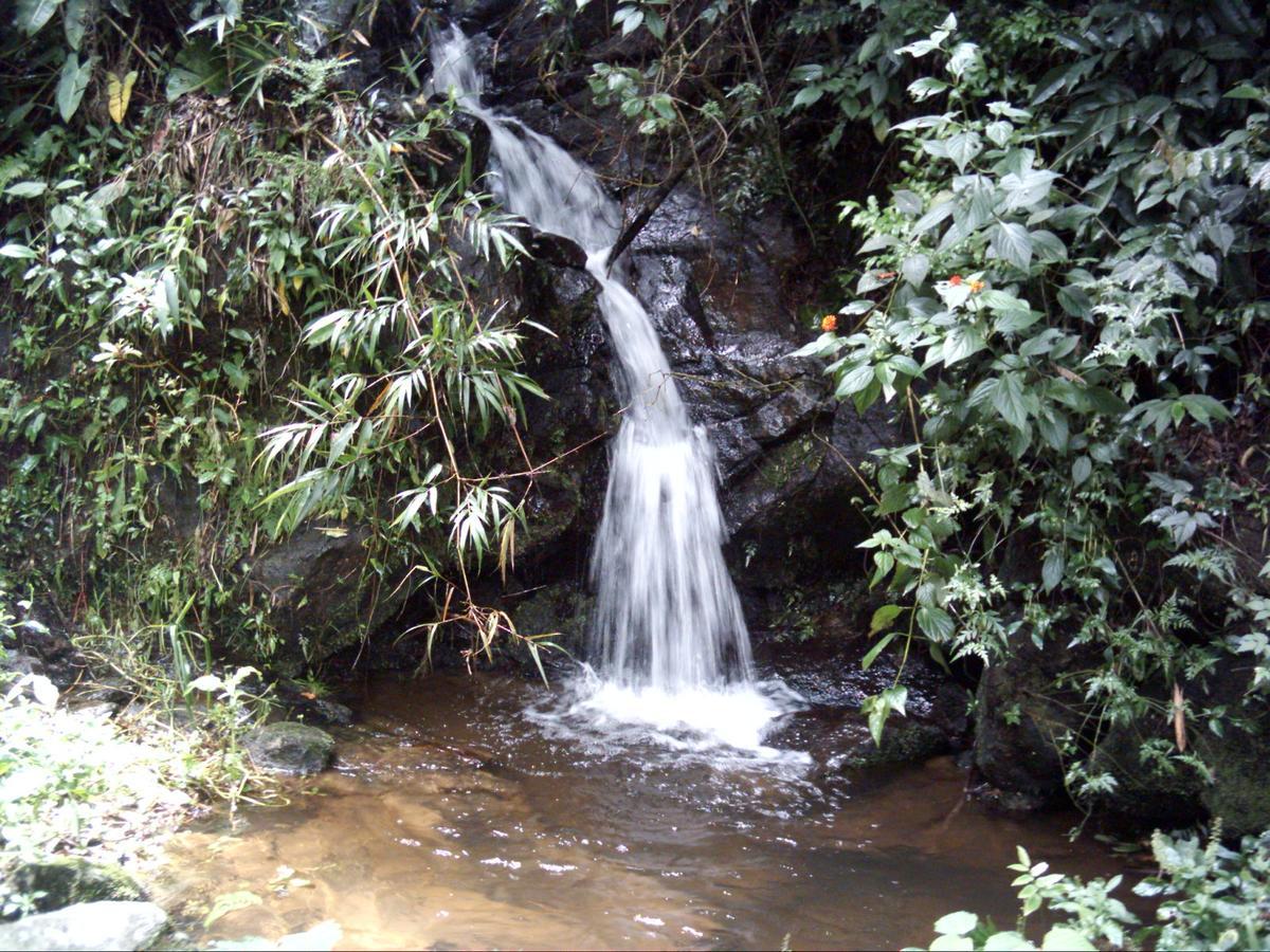 Sítio Recanto Do Araçá Chalet *